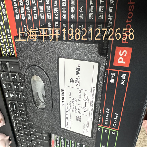 德國西門子進口產品MFN:VKP40.40競價