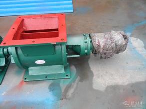 電廠400防卡星型卸料器耐磨鑄鋼材質質保