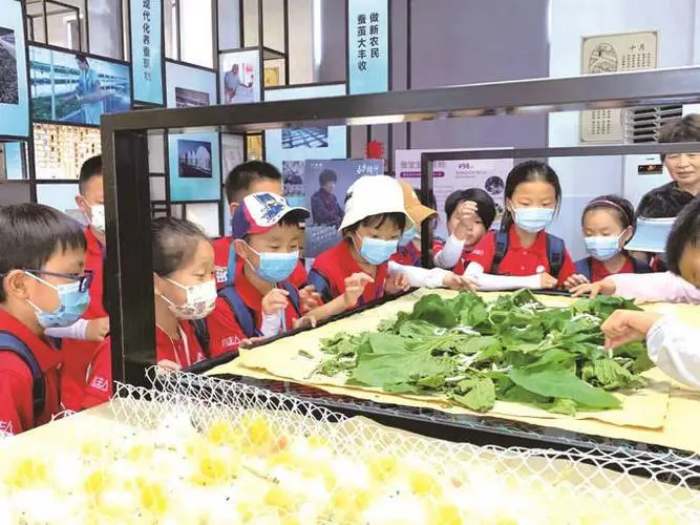 蘇州三六六社會實踐青少年研學之旅探索桑蠶文化傳承絲綢文明