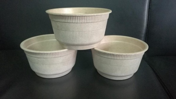玉米秸稈生態全降解餐具及包裝制品生產流水線