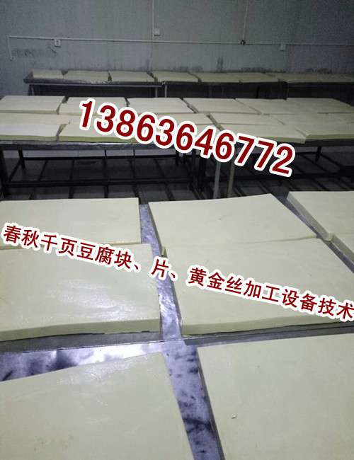 要想把千頁豆腐做好，選好千頁豆腐設備和千頁豆腐技術工藝，二者缺一不可