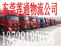東莞蓮通物流有限公司