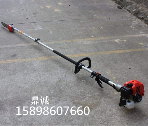 汽油高枝鋸園林工具高枝鋸背負式手動高枝鋸林場伐木鋸