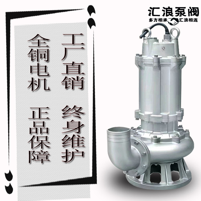 匯浪品牌 全不銹鋼排污泵 WQP污水提升泵 304材質潛水泵 批發