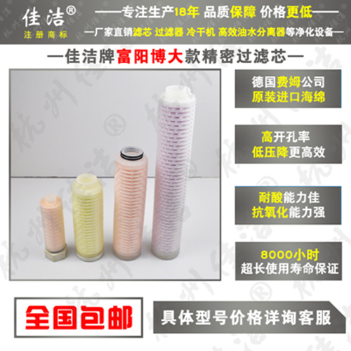 FLY-30/8高效除油器 博大除油器 博大凈化過濾