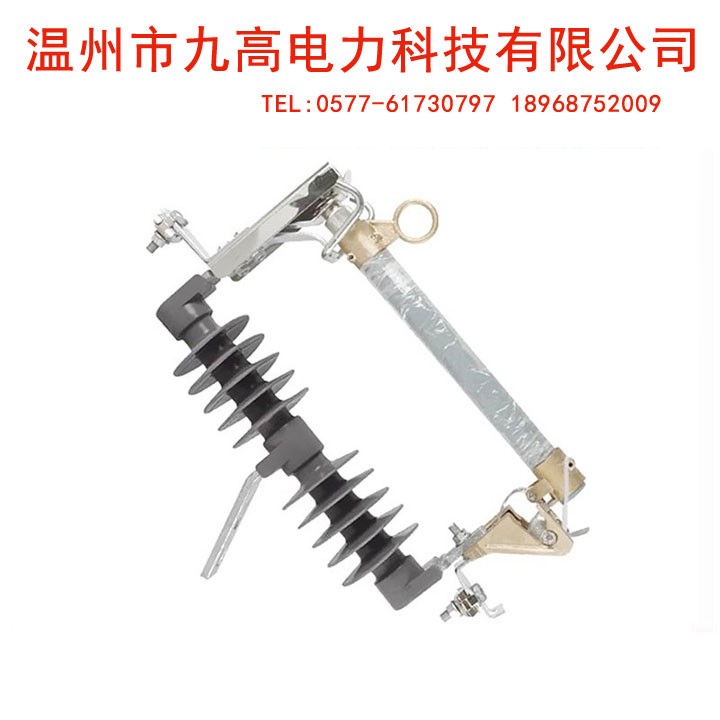 高壓跌落式熔斷器（專業廠家）