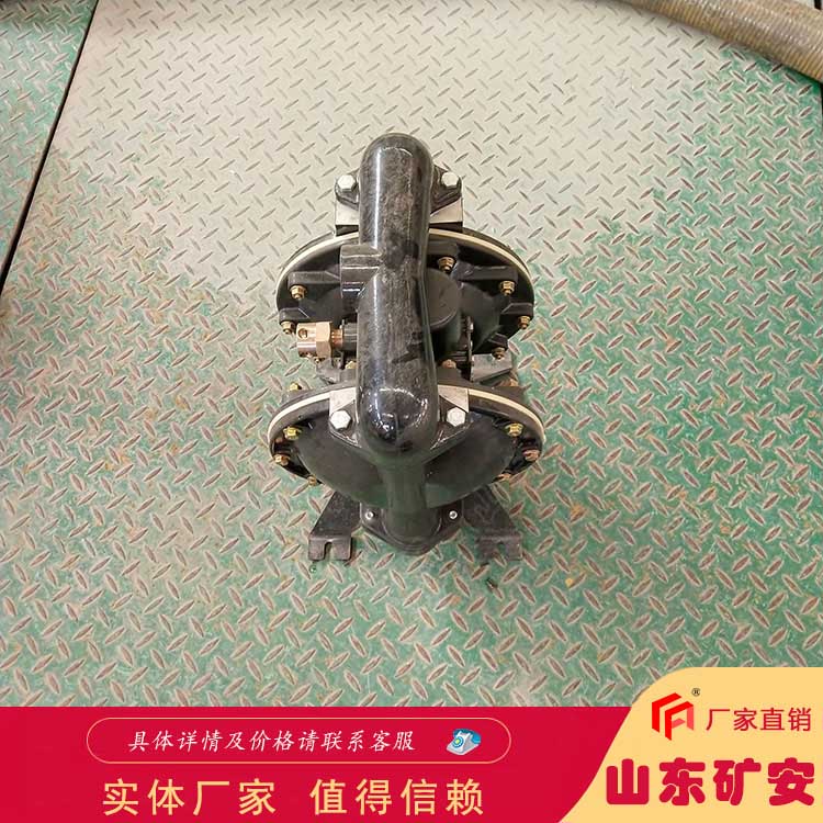 BQG360/0.2氣動隔膜泵占地面積小 安置簡便經濟