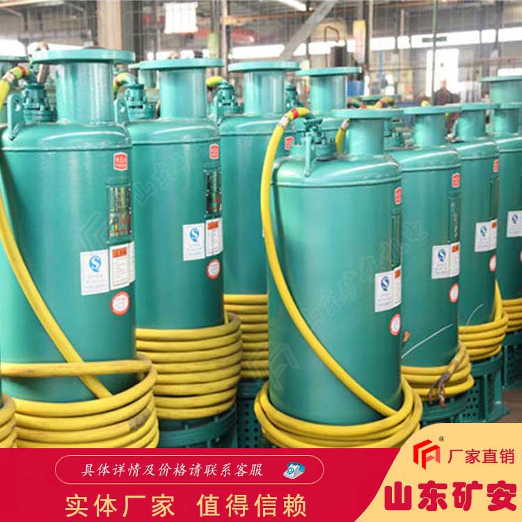 礦安立式 2.2KW礦用潛水排沙電泵 2.2KW井下排污泵
