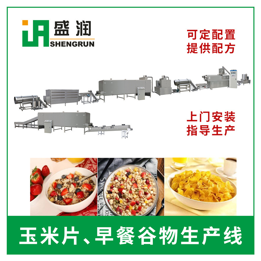 盛潤機械-TSE-玉米片膨化生產線