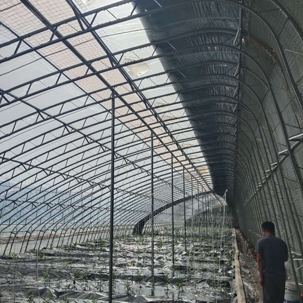 凱威蔬菜C型雙膜骨架大棚