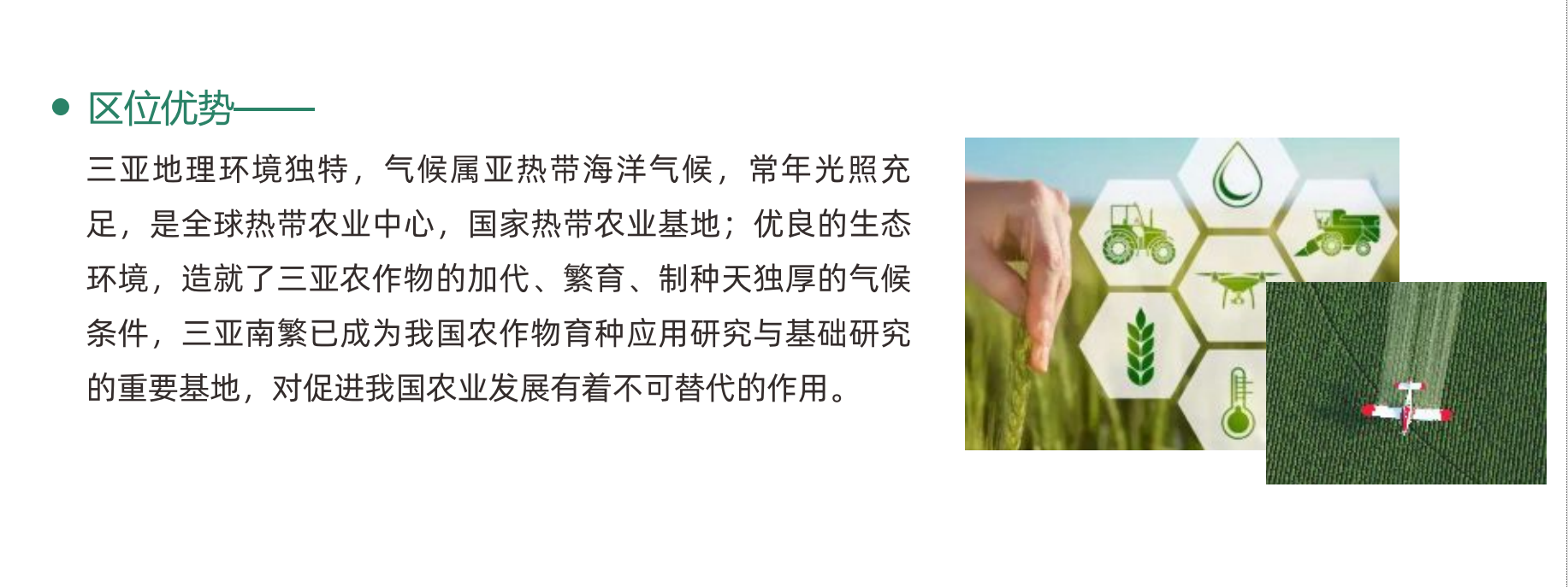 2025海南（三亞）國際種業展覽會