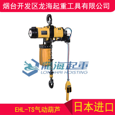 16噸海油船氣動葫蘆生產(chǎn),遠(yuǎn)藤EHL-TS氣動葫蘆無假貨