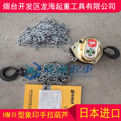 HMⅢ-300手拉葫蘆,海上救助用進(jìn)口手拉葫蘆