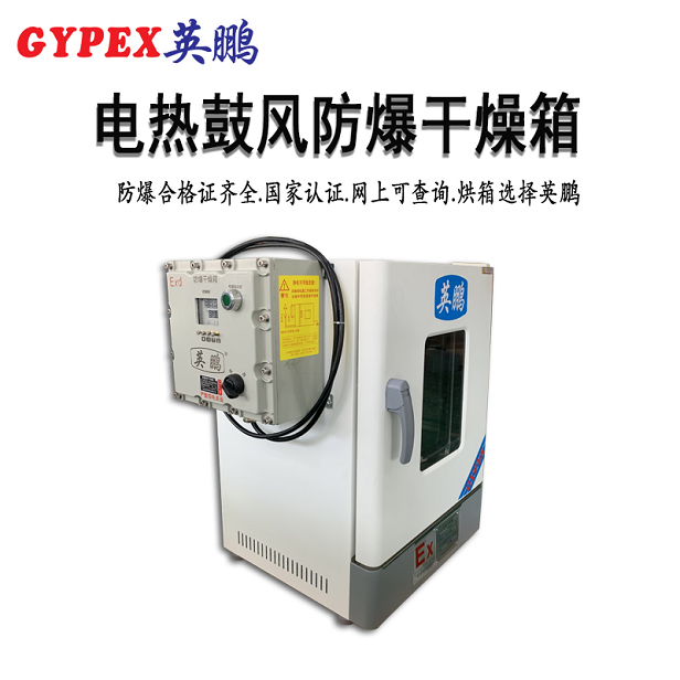嘉興防爆恒溫鼓風干燥箱-130升