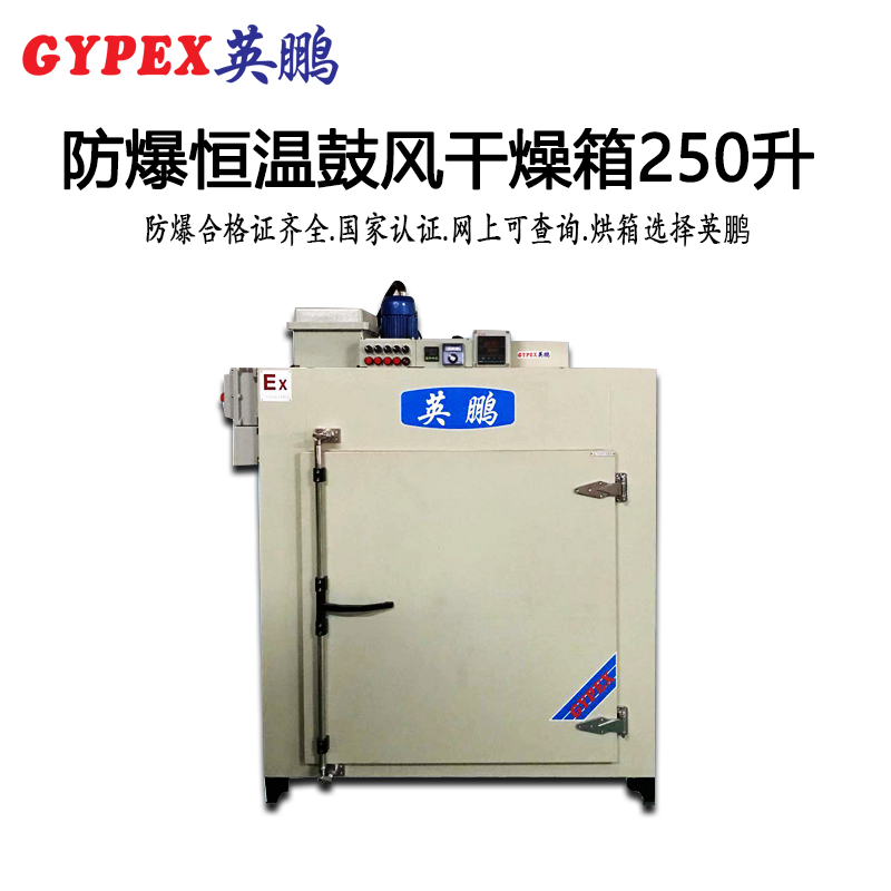 惠州防爆恒溫鼓風干燥箱-250升