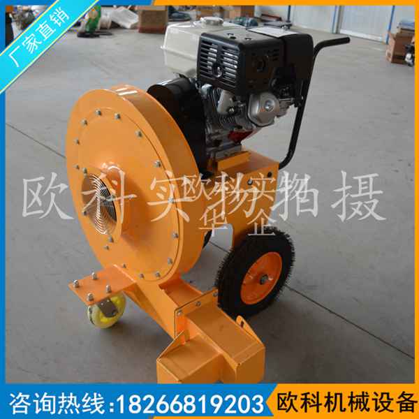 手推式路面吹風機  內(nèi)燃馬路吹風機 手推路面吹風機