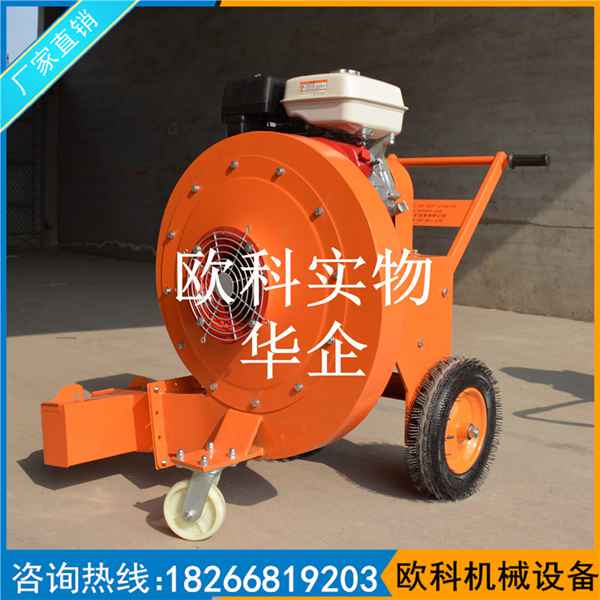 路面清掃吹風機 落葉清掃吹風機 內(nèi)燃手推式吹風機
