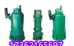礦用隔爆型潛水排沙電泵 礦用隔爆型潛水排沙電泵技術(shù)參數(shù)
