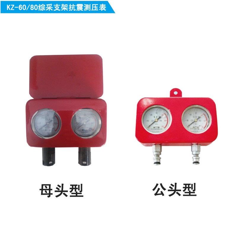 支架/支柱耐震測(cè)壓?jiǎn)伪黼p表60/80MPa