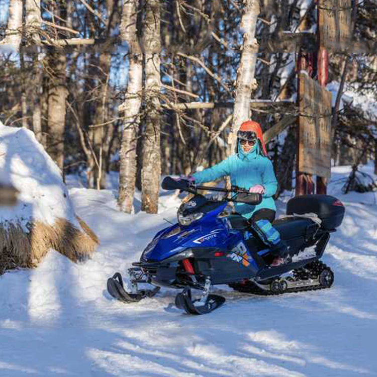 森林雪地履帶式雪橇摩托 雪坡滑雪場成人 越野車生產制造 大型320cc