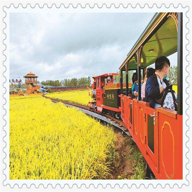 多功能游樂設(shè)備 電動軌道小火車 景區(qū)網(wǎng)紅觀光代步車 季節(jié)限制小kt58