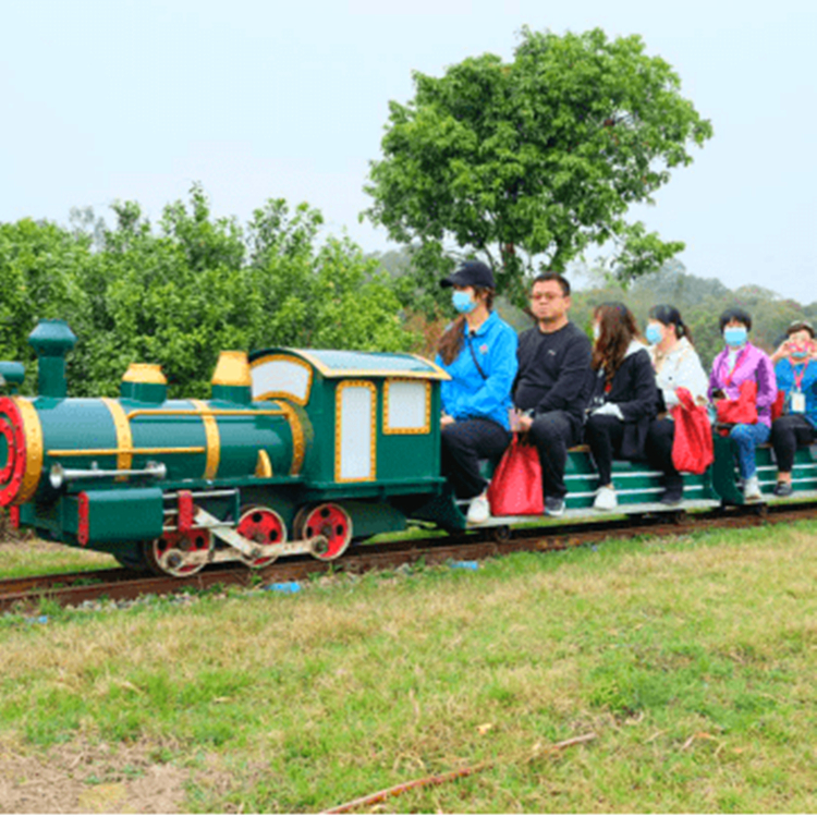 冰雪樂(lè)園無(wú)軌小火車 商場(chǎng)公園景區(qū)電動(dòng)觀光車 四季游樂(lè)設(shè)備