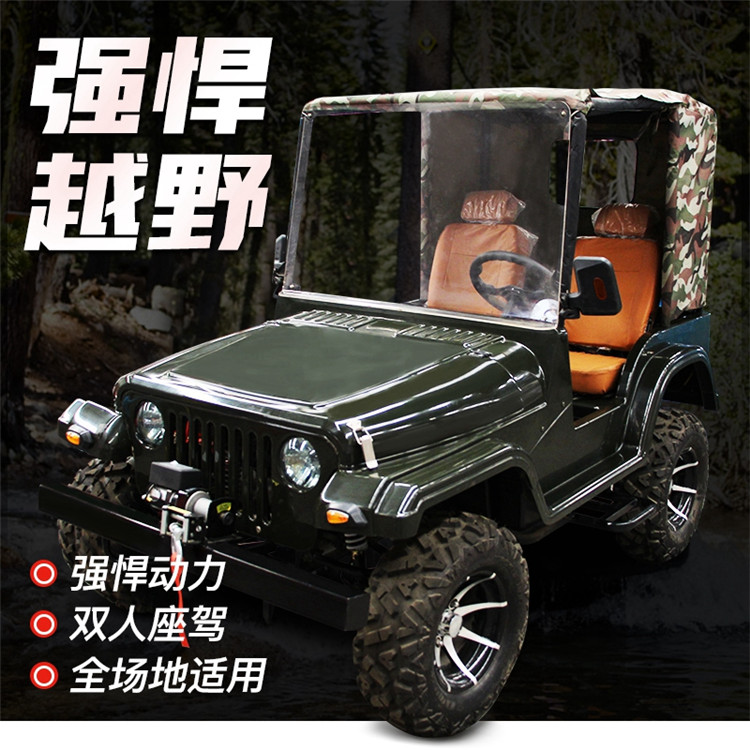 大人小孩都可玩的游樂(lè)設(shè)備 油電混驅(qū)動(dòng) 雙人款雪地車