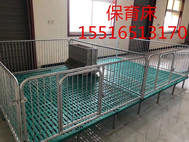 豬用設(shè)備保育床,小豬保育床,全復(fù)合保育床,豬場設(shè)備保育床