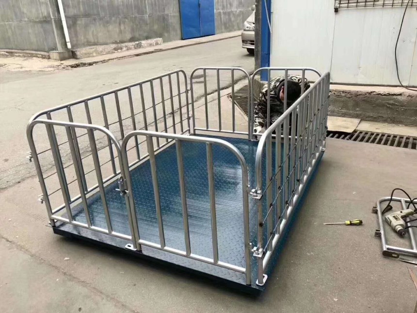 地磅 電子地磅 稱豬地磅廠家
