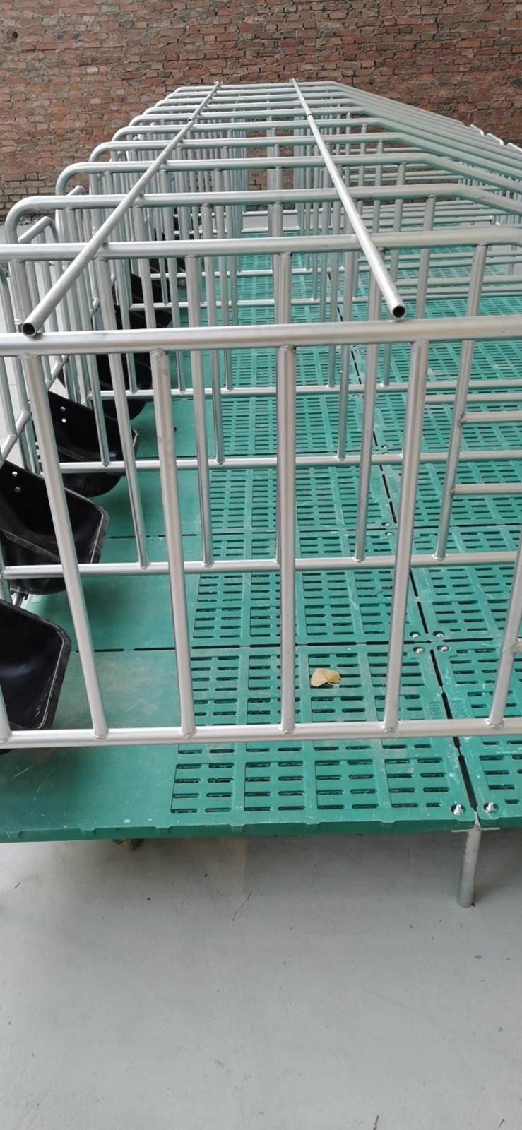 帶食槽母豬限位欄
