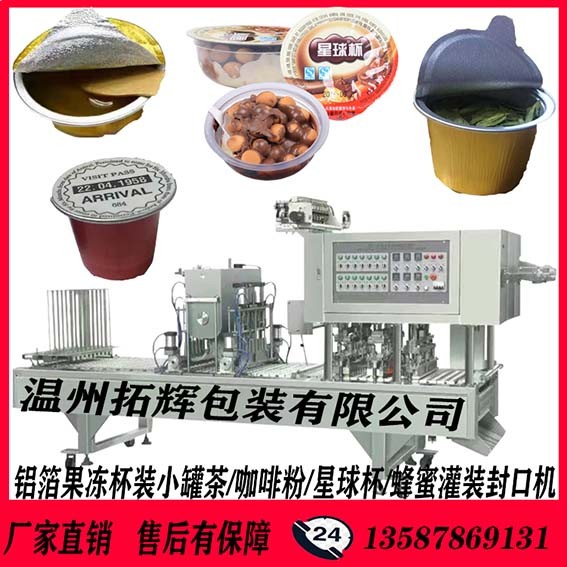 TH-6頭全自動片膜包裝封口機(jī) 咖啡粉灌裝封口機(jī)
