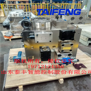 泰豐供應YQ32-2000GKCV液壓閥液壓碾環機插裝閥