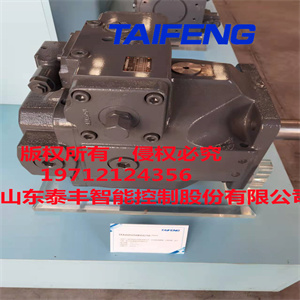 泰豐供應(yīng)TFA10V系列柱塞泵18流量配4噸小挖機(jī)油泵