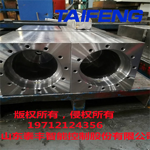 泰豐智能供應(yīng)300噸折彎機(jī)油缸WC67Y-300HD-00