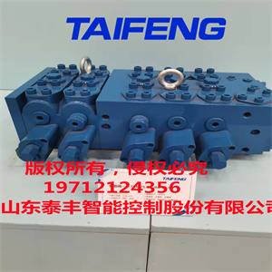 泰豐廠家供應(yīng)TRM20系列挖機(jī)專用多路閥閥片加厚減小壓力損失