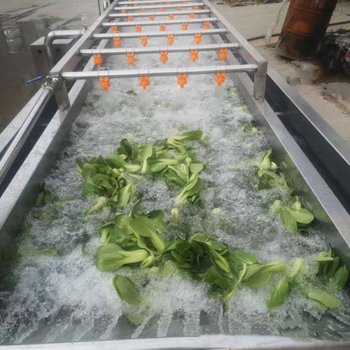 多功能蔬菜清洗機，果蔬清洗設(shè)備，菠菜清洗機