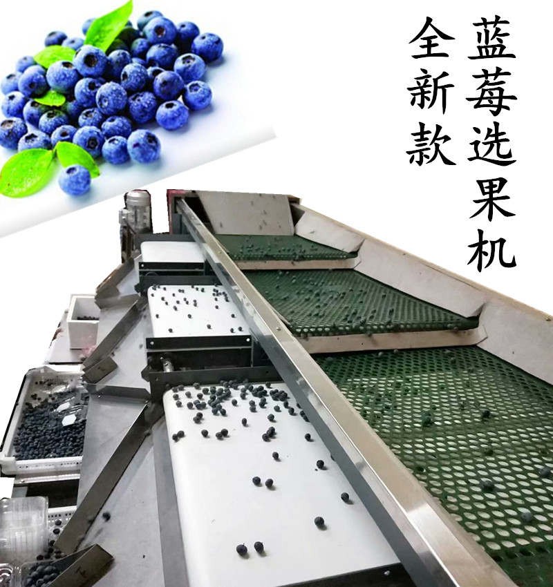 藍(lán)莓分級機(jī)分選準(zhǔn)