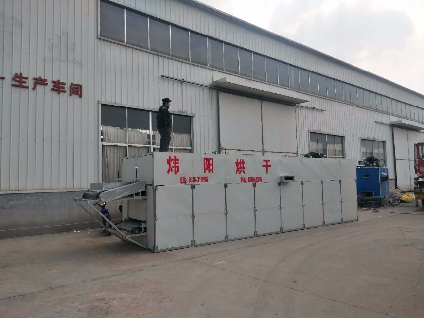 河南金銀花網帶烘干機