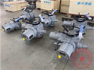 揚州智能型電動執行器F-DZW30扭矩300NM