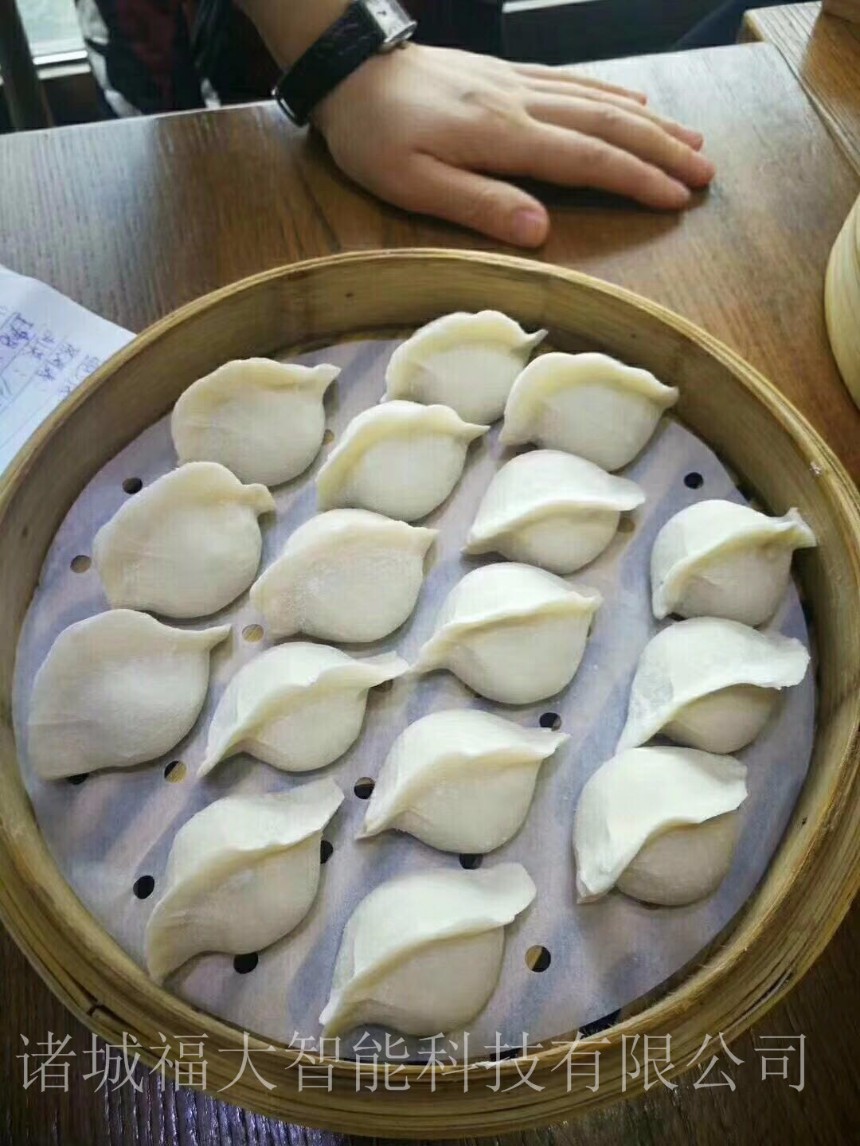 廠家直銷100型仿手工餃子機飯店專用小型餃子機免整形水餃成型機