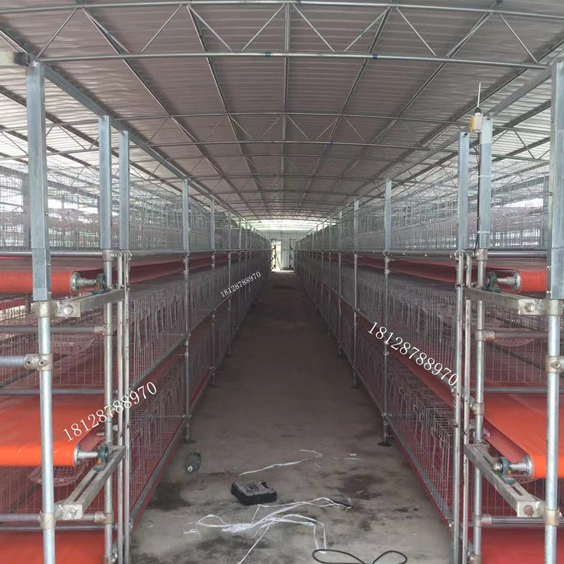 現貨白鴿復式養殖喂料送料清糞機