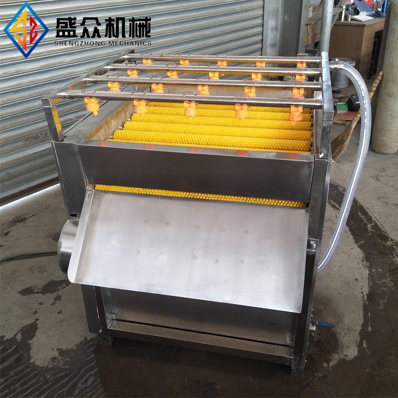 粽葉清洗機荷葉葦葉清洗設備廠家